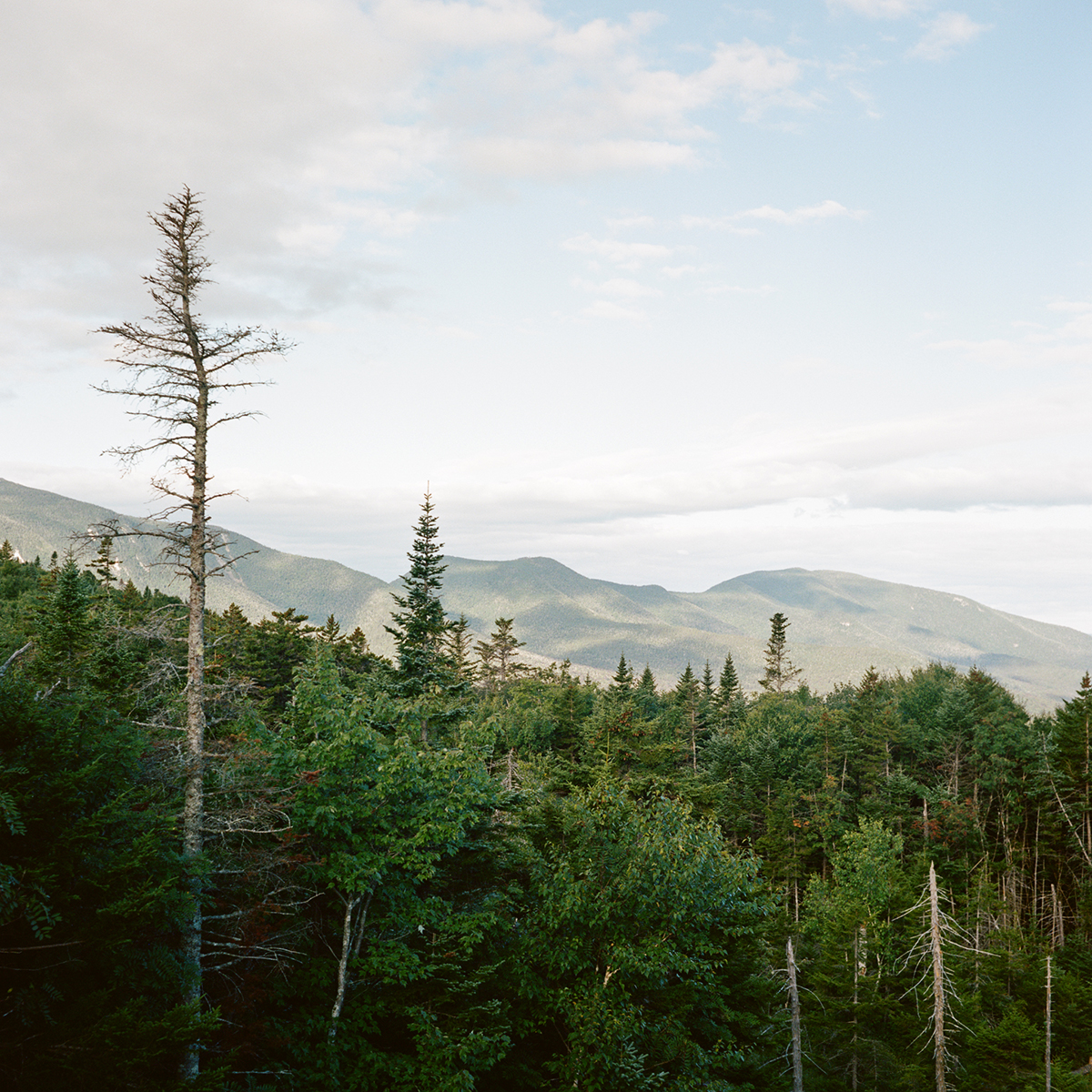 rolleiflex 3.5 rollei medium format 120 film photography sample image nh new hampshire north east northeast new england photographer color nature landscape travel portra