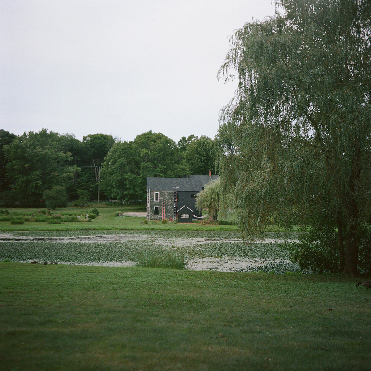 rolleiflex 3.5 rollei medium format 120 film photography sample image ct connecticut north east northeast new england photographer color nature landscape travel portra